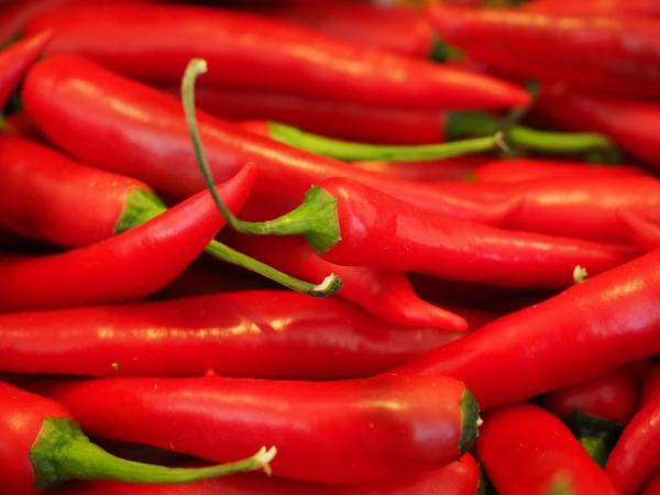 Is spicy food good for you? Studies have shown the answer to be yes. Benefits include losing weight, preventing heart disease and living longer.