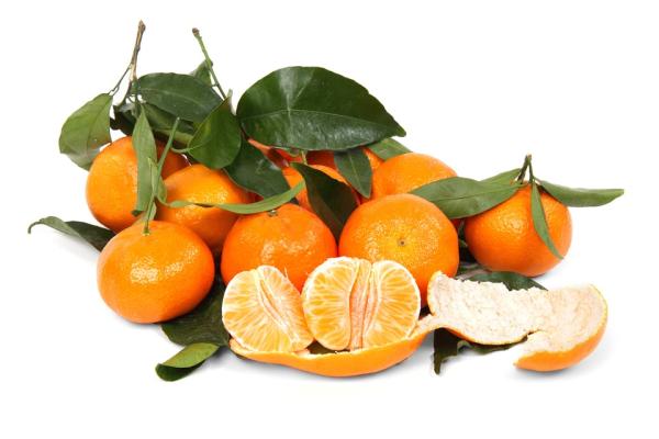 When are clementines in season? They are harvested from late October to February, and are in stores by spring.
