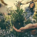 Here are some useful and quick gardening tips to make your gardening hobby fun, productive and rewarding.