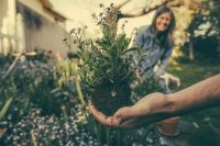 Here are some useful and quick gardening tips to make your gardening hobby fun, productive and rewarding.