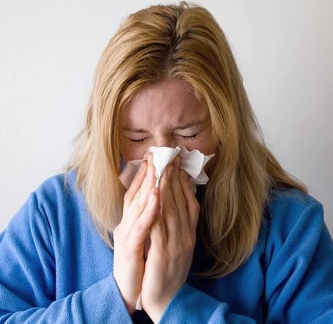 Swine flu symptoms are similar to seasonal human flu symptoms including sore throat, cough, fever, runny nose, body aches, as well as chills, fatigue, headaches.